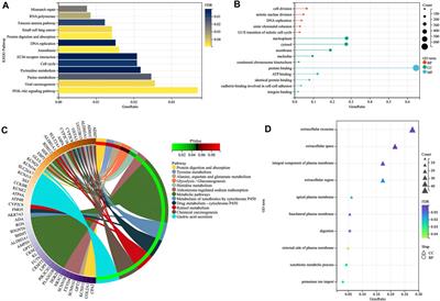 Common Core Genes Play Vital Roles in Gastric Cancer With Different Stages